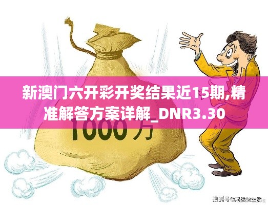 新澳门六开彩开奖结果近15期,精准解答方案详解_DNR3.30