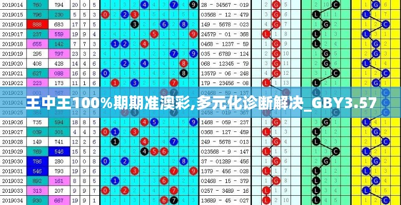 王中王100%期期准澳彩,多元化诊断解决_GBY3.57