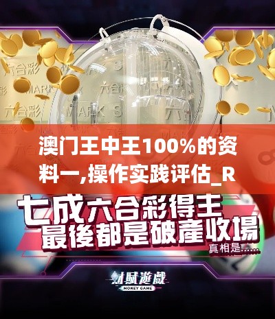 澳门王中王100%的资料一,操作实践评估_RBW3.69