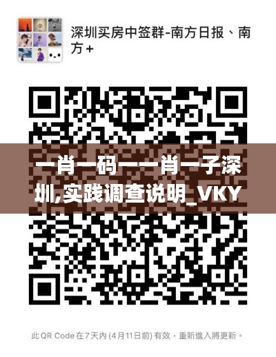 一肖一码一一肖一子深圳,实践调查说明_VKY3.68