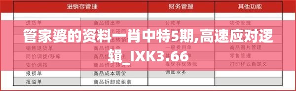 管家婆的资料一肖中特5期,高速应对逻辑_IXK3.66