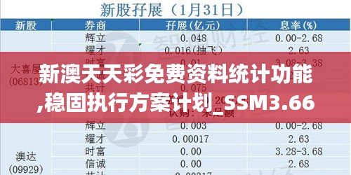 新澳天天彩免费资料统计功能,稳固执行方案计划_SSM3.66