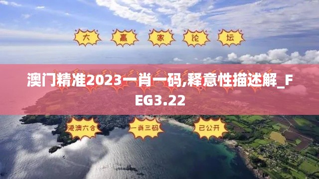 澳门精准2023一肖一码,释意性描述解_FEG3.22