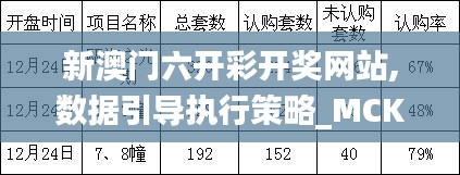 新澳门六开彩开奖网站,数据引导执行策略_MCK3.52