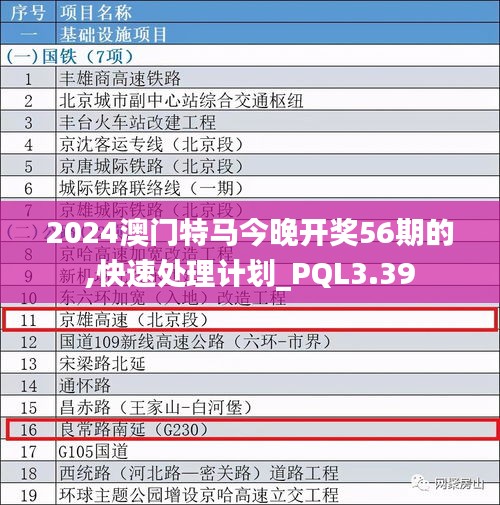 2024澳门特马今晚开奖56期的,快速处理计划_PQL3.39