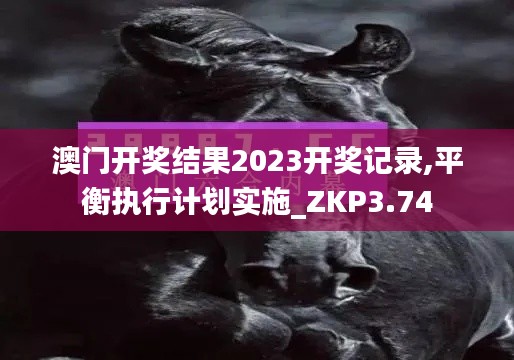 澳门开奖结果2023开奖记录,平衡执行计划实施_ZKP3.74