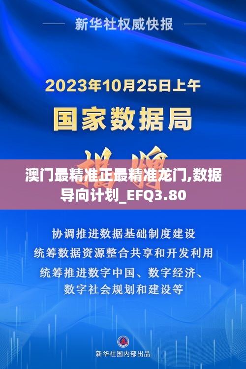 澳门最精准正最精准龙门,数据导向计划_EFQ3.80