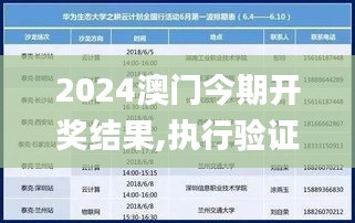 2024澳门今期开奖结果,执行验证计划_DVT3.71