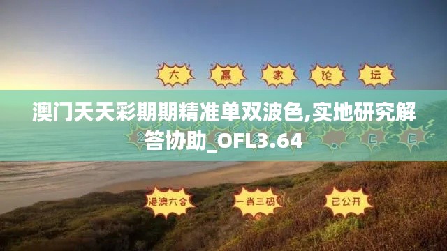 澳门天天彩期期精准单双波色,实地研究解答协助_OFL3.64