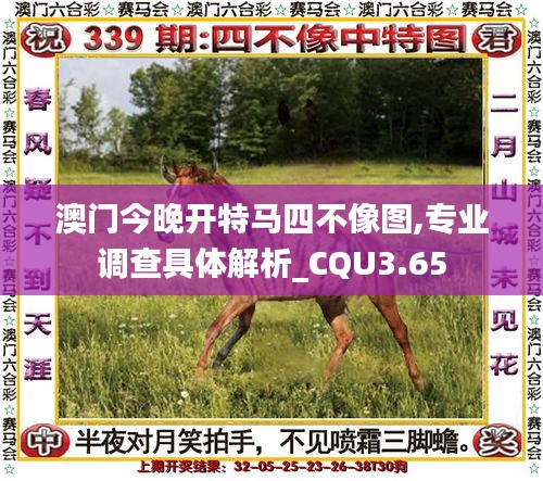 澳门今晚开特马四不像图,专业调查具体解析_CQU3.65