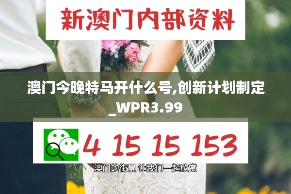 澳门今晚特马开什么号,创新计划制定_WPR3.99