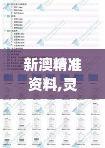 新澳精准资料,灵活性执行方案_DNP3.21