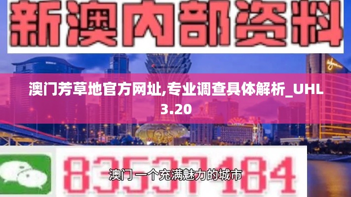 澳门芳草地官方网址,专业调查具体解析_UHL3.20