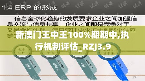 新澳门王中王100%期期中,执行机制评估_RZJ3.9