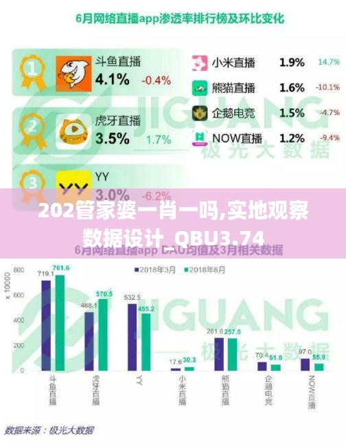 202管家婆一肖一吗,实地观察数据设计_QBU3.74