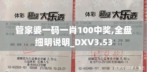 管家婆一码一肖100中奖,全盘细明说明_DXV3.53