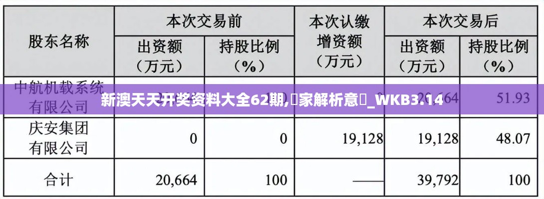 新澳天天开奖资料大全62期,專家解析意見_WKB3.14