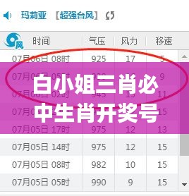 白小姐三肖必中生肖开奖号码,实时分析处理_VNZ3.62