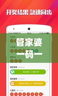 管家婆一码一肖资料大全,深入探讨方案策略_YLW3.10