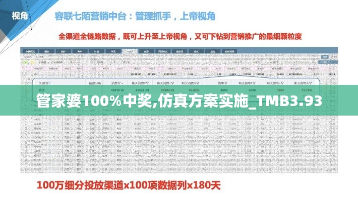 管家婆100%中奖,仿真方案实施_TMB3.93