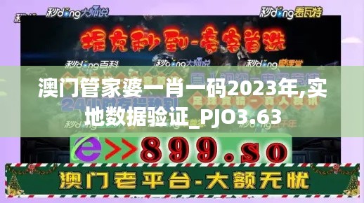 澳门管家婆一肖一码2023年,实地数据验证_PJO3.63