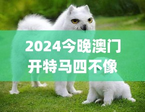 2024今晚澳门开特马四不像,实时异文说明法_SEA3.94