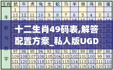 十二生肖49码表,解答配置方案_私人版UGD7.32