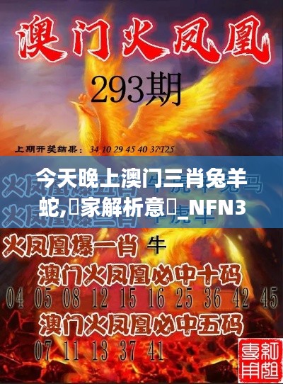 今天晚上澳门三肖兔羊蛇,專家解析意見_NFN3.43