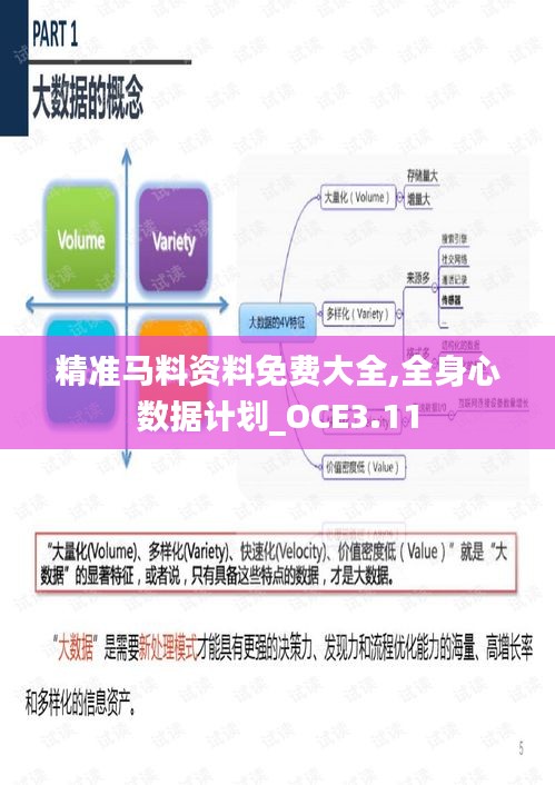 精准马料资料免费大全,全身心数据计划_OCE3.11