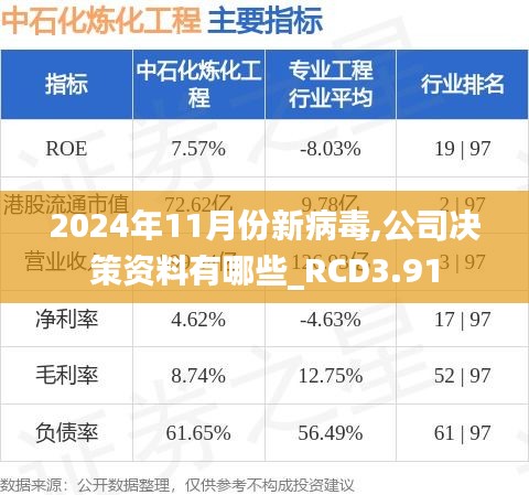 2024年11月份新病毒,公司决策资料有哪些_RCD3.91