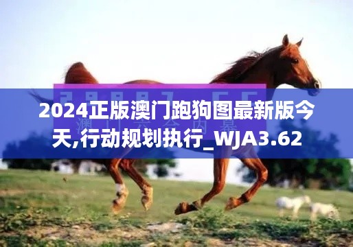 2024正版澳门跑狗图最新版今天,行动规划执行_WJA3.62