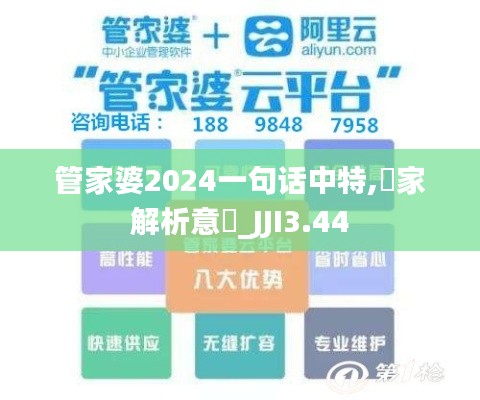 管家婆2024一句话中特,專家解析意見_JJI3.44