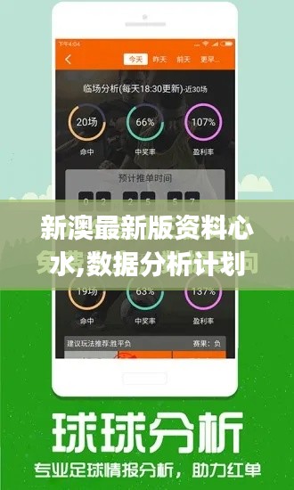 新澳最新版资料心水,数据分析计划_BAG3.46