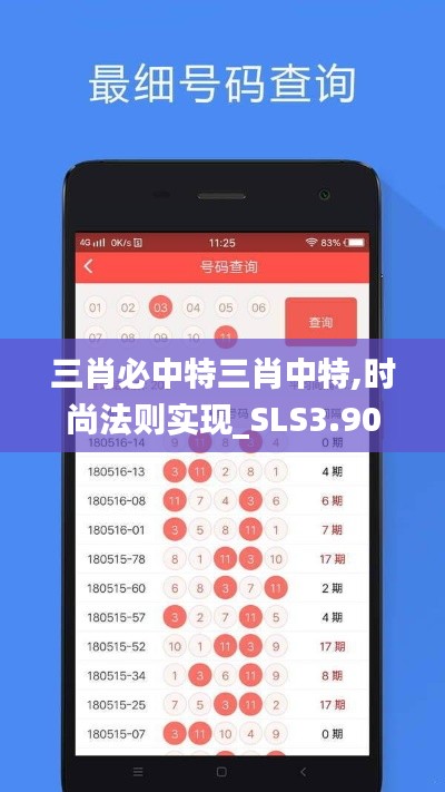 三肖必中特三肖中特,时尚法则实现_SLS3.90