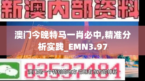 澳门今晚特马一肖必中,精准分析实践_EMN3.97