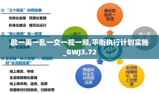 欧一美一乱一交一视一频,平衡执行计划实施_GWJ3.72