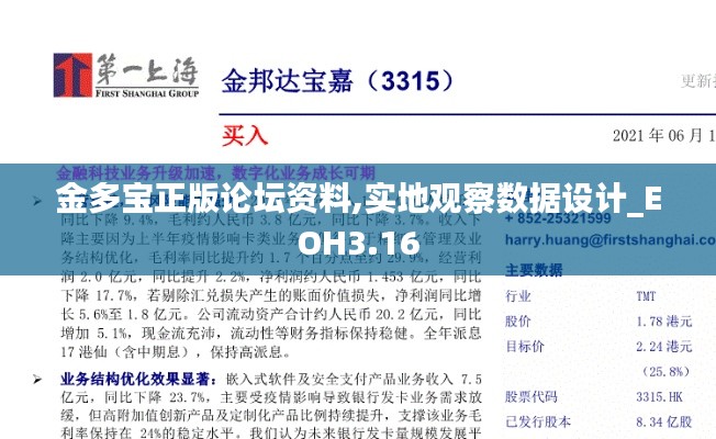 金多宝正版论坛资料,实地观察数据设计_EOH3.16