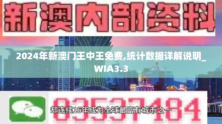 2024年新澳门王中王免费,统计数据详解说明_WIA3.3