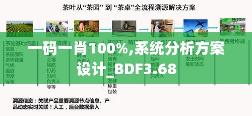 一码一肖100%,系统分析方案设计_BDF3.68