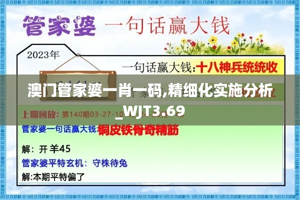 澳门管家婆一肖一码,精细化实施分析_WJT3.69