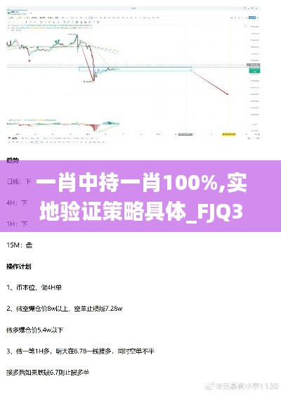 一肖中持一肖100%,实地验证策略具体_FJQ3.74