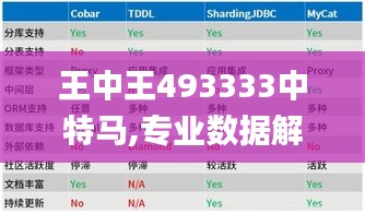 王中王493333中特马,专业数据解释设想_HML3.36