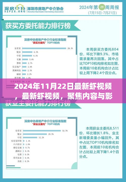 深度解读，最新虾视频背后的观点争议与聚焦内容分析