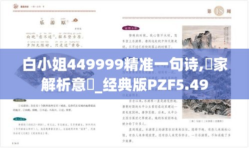 白小姐449999精准一句诗,專家解析意見_经典版PZF5.49