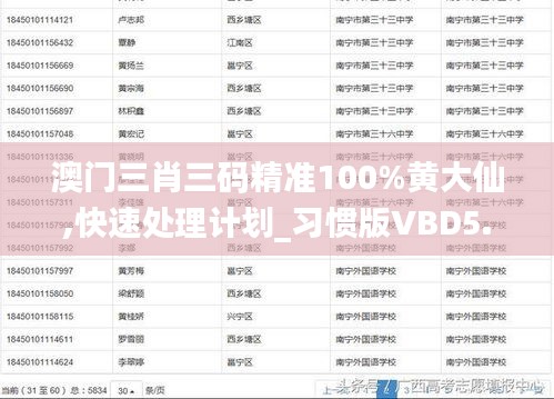 澳门三肖三码精准100%黄大仙,快速处理计划_习惯版VBD5.97