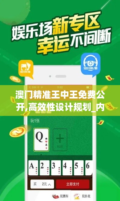 澳门精准王中王免费公开,高效性设计规划_内置版BWQ5.36