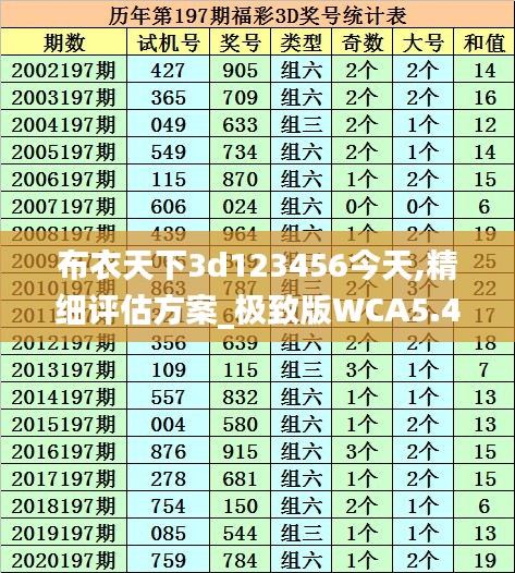 布衣天下3d123456今天,精细评估方案_极致版WCA5.44