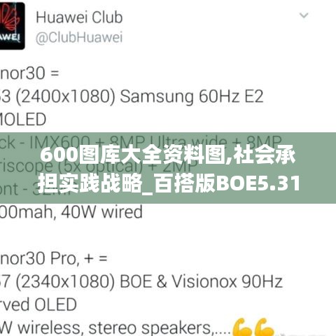 600图库大全资料图,社会承担实践战略_百搭版BOE5.31