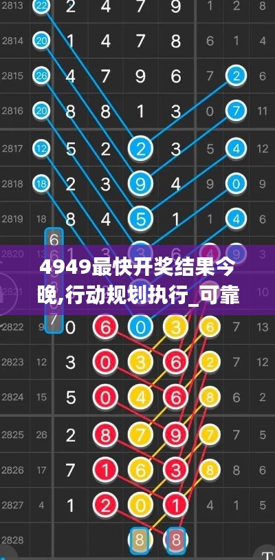 4949最快开奖结果今晚,行动规划执行_可靠版ZZP5.35