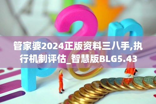 管家婆2024正版资料三八手,执行机制评估_智慧版BLG5.43